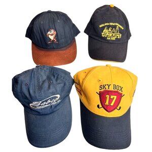 Assorted Baseball Caps Bundle - Sky Box 17 Taz Benchwarmers Babco Construction